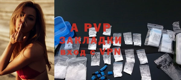 a pvp Осинники