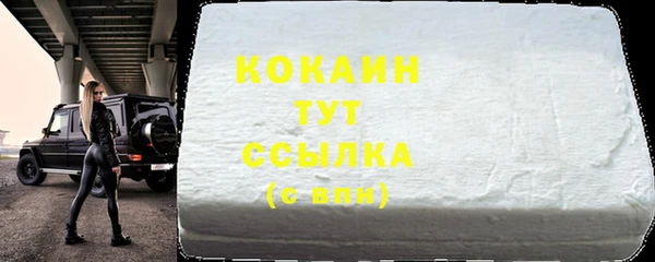 стаф Болхов