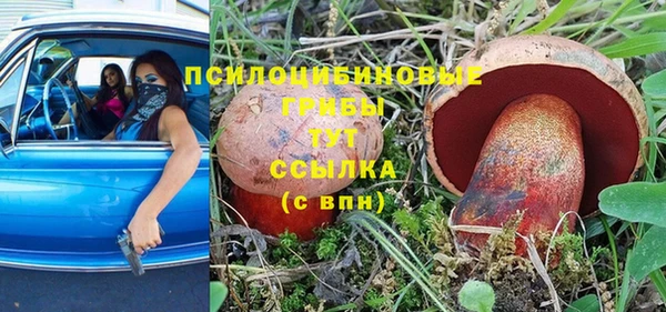 прущие крисы Осташков